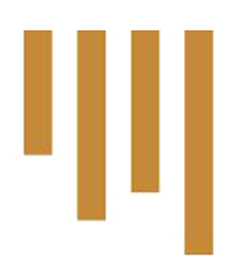 light'in-logo